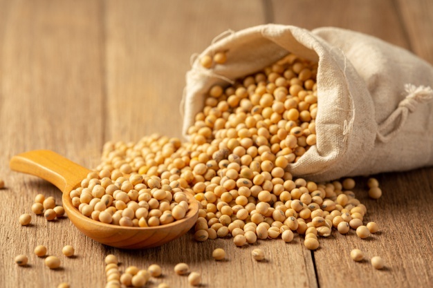 12.9 - Soybean-based seasonings and condiments