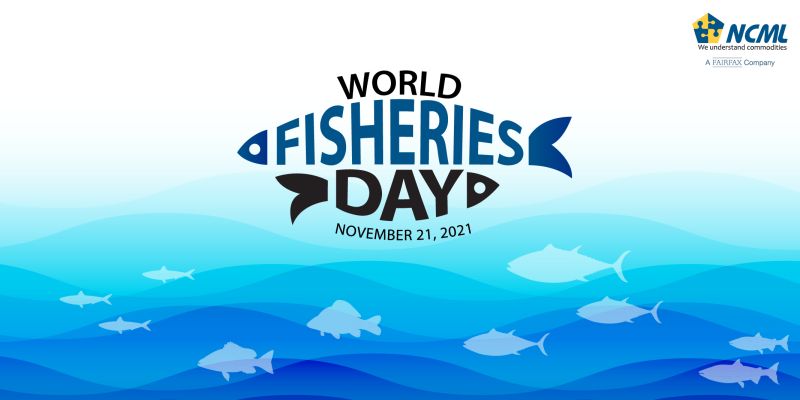 World Fisheries Day 2021